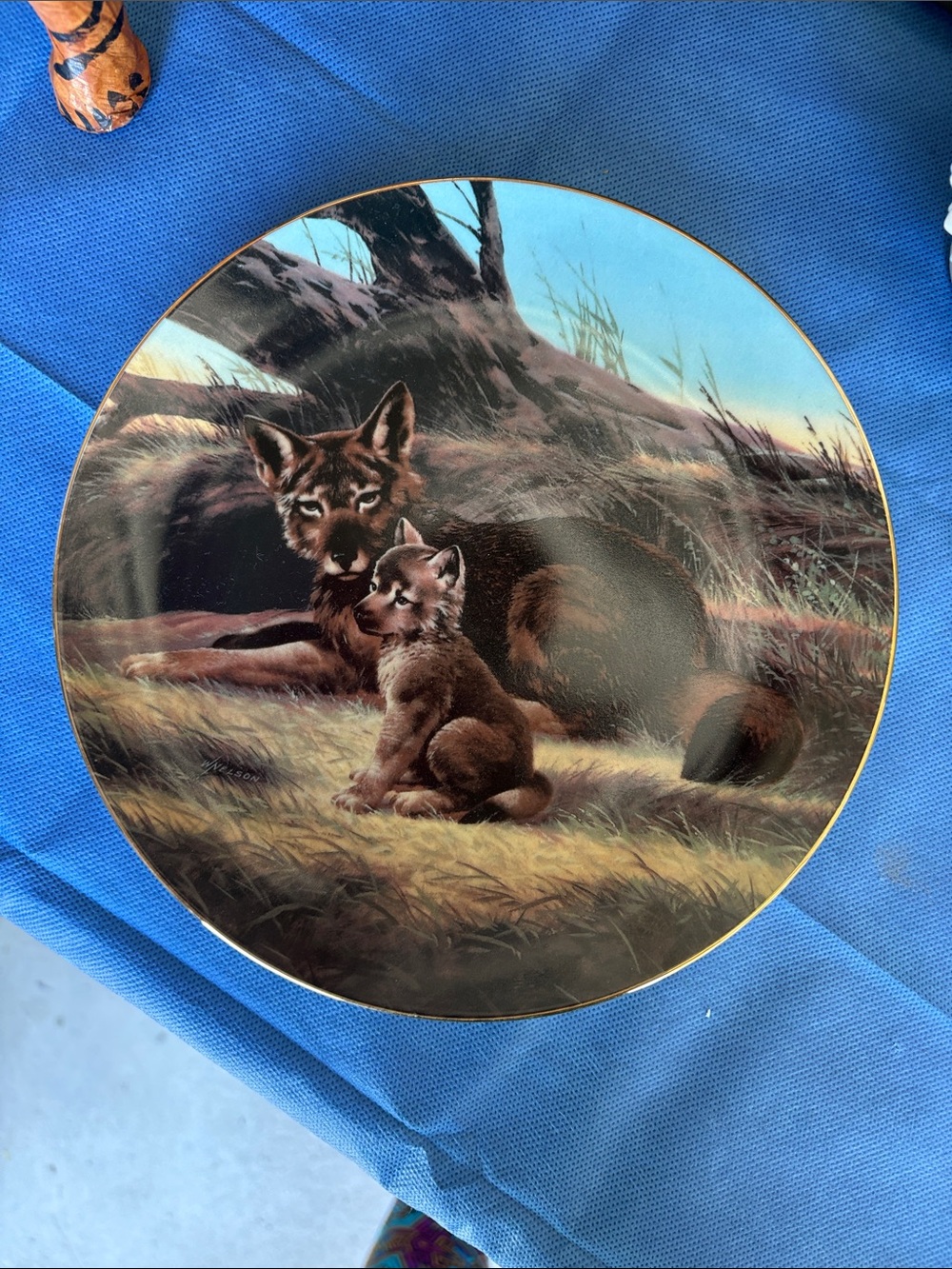 The Red Wolf Decorative Collector Plate with Wolf and Pup Artwork - Brown & Tan